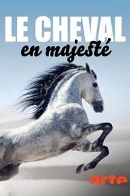 Le cheval en majesté