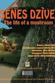 Sēnes dzīve