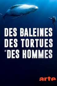 Des baleines, des tortues et des hommes